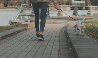 Motivul pentru care o femeie refuză să plimbe câinele iubitului ei înainte de muncă. Dezvăluirea a stârnit un val de reacții