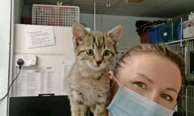 Gestul făcut de un medic veterinar pentru 100 de pisici abandonate: „Nu le pot lăsa în urmă”