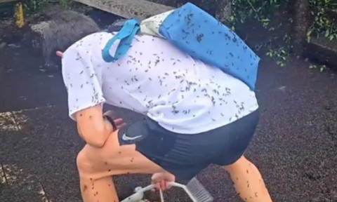 Țara în care turiștii sunt „atacați” de insecte. Imaginile cu roiul de gândaci sunt virale