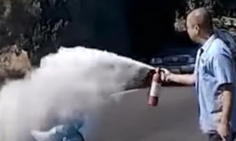 Momentul când o femeie este atacată de un roi de albine. A fost salvată de un instalator: „Mi-am amintit de bunica mea”