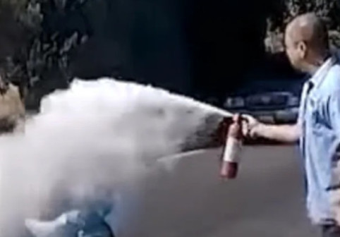 Momentul când o femeie este atacată de un roi de albine. A fost salvată de un instalator: „Mi-am amintit de bunica mea”