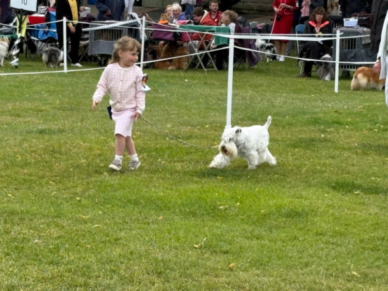 Caitlyn Mellor/ Foto: Facebook: Lyzahro Schnauzers