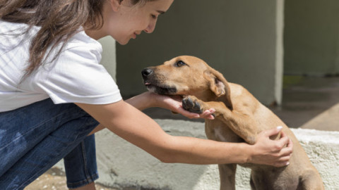 Descoperirea făcută de o femeie după ce a salvat un câine care urma sa fie eutanasiat. Patrupedul are o rasă extrem de rară
