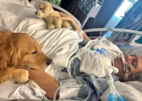 O femeie în comă s-a trezit după ce un câine i-a atins mâna. Medicii susțin că e un miracol: „N-am mai văzut așa ceva!”