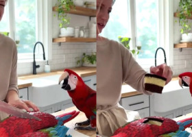 Reacția unui papagal atunci când stăpâna sa taie un tort în formă de pasăre: „E incredibil. Sigur e făcut cu AI”