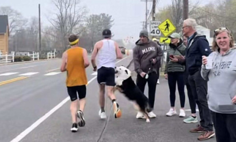 Momentul când un bărbat a fost mușcat de un câine în timpul unui maraton. Videoclipul a devenit viral