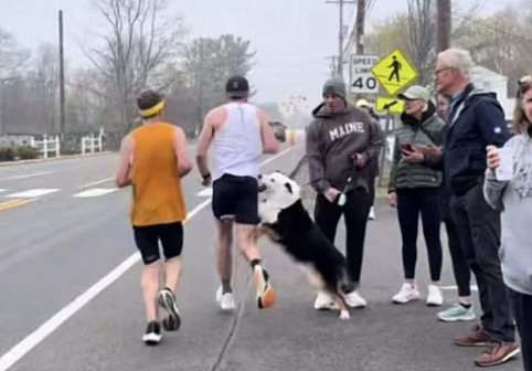 Momentul când un bărbat a fost mușcat de un câine în timpul unui maraton. Videoclipul a devenit viral