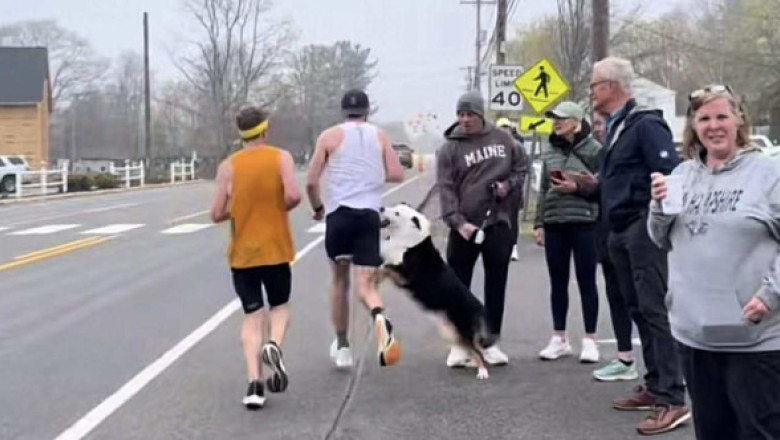 Momentul când un bărbat a fost mușcat de un câine în timpul unui maraton. Videoclipul a devenit viral