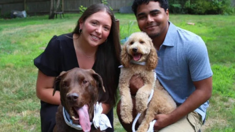 Și-au lăsat câinii la un hotel în ziua nunții, dar când s-au întors acasă au avut parte de o surpriză. Ce făceau patrupezii