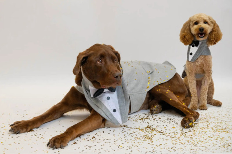 Jeter și Ronnie/ Foto: Instagram