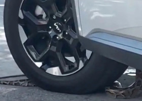 Momentul când un șarpe se strecoară în mașină unui bărbat care aștepta la un drive-thru în Florida. Imaginile sunt virale