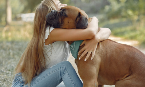 Nu trebuie să-ți îmbrățișezi niciodată câinele în aceste situații. Gestul tău îl poate stresa enorm