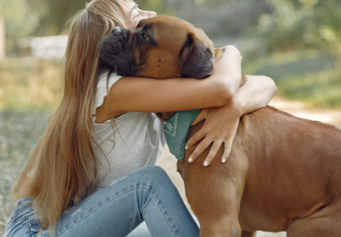 Nu trebuie să-ți îmbrățișezi niciodată câinele în aceste situații. Gestul tău îl poate stresa enorm