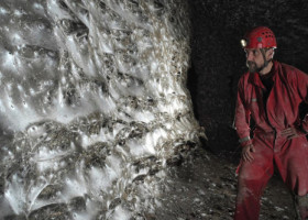 Cea mai mare pânză de păianjen din lume, descoperită într-o peșteră la granița Greciei cu Albania. 110.000 de arahnide trăiesc împreună