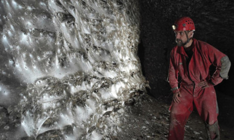 Cea mai mare pânză de păianjen din lume, descoperită într-o peșteră la granița Greciei cu Albania. 110.000 de arahnide trăiesc împreună