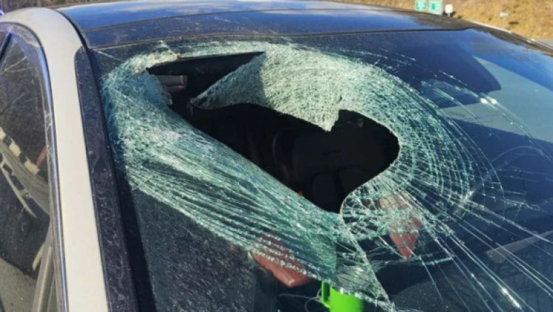 Momentul când un vultur aruncă o pisică în mașina unei șoferițe: „Mi-a spart complet parbrizul”