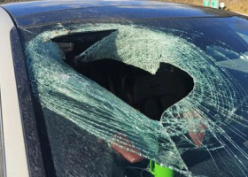 Momentul când un vultur aruncă o pisică în mașina unei șoferițe: „Mi-a spart complet parbrizul”