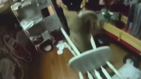 Panică într-un magazin de Crăciun. Un cerb a făcut ravagii printre rafturi și a rămas blocat într-un scaun: „Își căuta sania”