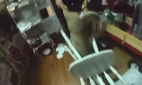 Panică într-un magazin de Crăciun. Un cerb a făcut ravagii printre rafturi și a rămas blocat într-un scaun: „Își căuta sania”