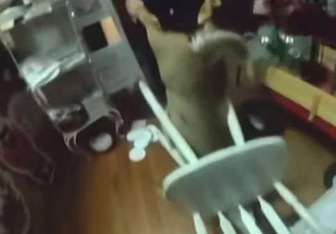 Panică într-un magazin de Crăciun. Un cerb a făcut ravagii printre rafturi și a rămas blocat într-un scaun: „Își căuta sania”