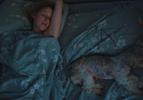 A crezut că își mângâie câinele, dar a descoperit altceva în pat. Ce a descoperit când a aprins lumina: „Iubito, nu te mișca”