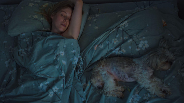 A crezut că își mângâie câinele, dar a descoperit altceva în pat. Ce a descoperit când a aprins lumina: „Iubito, nu te mișca”