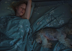 A crezut că își mângâie câinele, dar a descoperit altceva în pat. Ce a descoperit când a aprins lumina: „Iubito, nu te mișca”