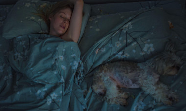 A crezut că își mângâie câinele, dar a descoperit altceva în pat. Ce a descoperit când a aprins lumina: „Iubito, nu te mișca”