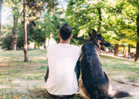 Cele 5 tipologii de oameni care nu ar trebui sub nicio formă să aibă un câine. Stilul lor de viață îi pot afecta viața patrupedului