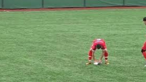 Un pescăruş lovit de minge la un meci de amatori din Tucia, resuscitat pe gazon de un jucător: „A fost mai important decât campionatul”