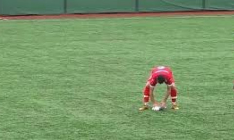 Un pescăruş lovit de minge la un meci de amatori din Tucia, resuscitat pe gazon de un jucător: „A fost mai important decât campionatul”