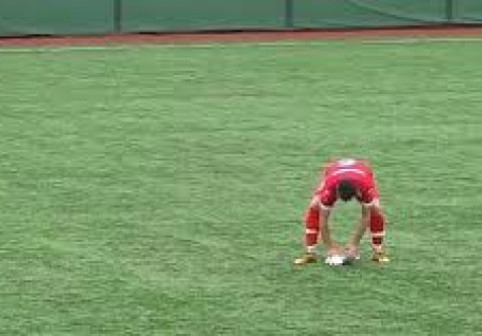 Un pescăruş lovit de minge la un meci de amatori din Tucia, resuscitat pe gazon de un jucător: „A fost mai important decât campionatul”