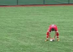 Un pescăruş lovit de minge la un meci de amatori din Tucia, resuscitat pe gazon de un jucător: „A fost mai important decât campionatul”