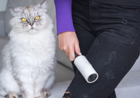 Cum să scapi rapid de părul de animale de pe haine. Trucul simplu folosit de o femeie cu patru pisici