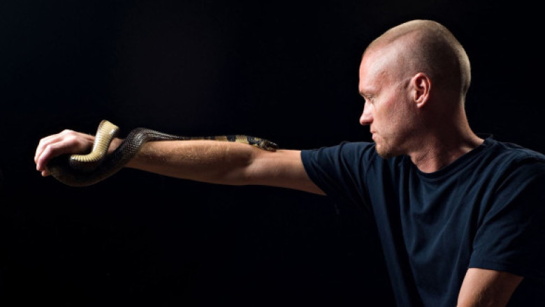 Un bărbat s-a lăsat mușcat intenționat de sute de șerpi veninoși. Sângele lui ar putea salva mii de vieți