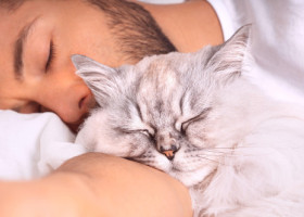 Un iubitor de câini și-a schimbat complet părerea despre pisici atunci când a adoptat una: „Tot ce credeam era greșit”