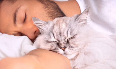 Un iubitor de câini și-a schimbat complet părerea despre pisici atunci când a adoptat una: „Tot ce credeam era greșit”