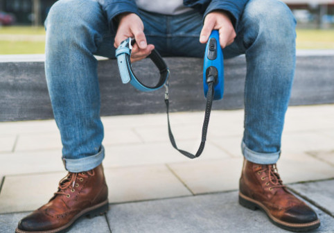 Reacția unei femei când și-a văzut vecinul dimineața la plimbare: „De ce mergi cu lesa goală?”