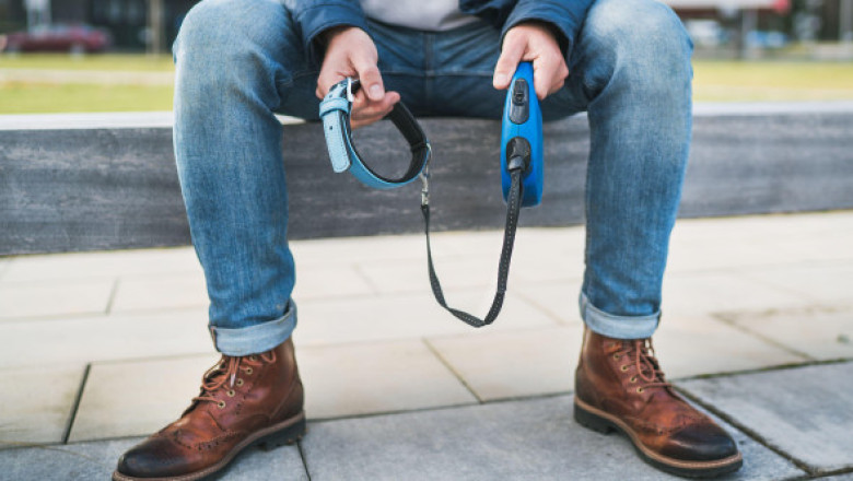 Reacția unei femei când și-a văzut vecinul dimineața la plimbare: „De ce mergi cu lesa goală?”