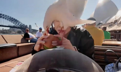 Momentul când un pescăruș încearcă să-i fure mâncarea unei femei pe malul mării. Imaginile sunt virale