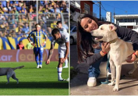 Un cățel pierdut a intrat pe teren la un meci al echipei lui Angel Di Maria. Stăpânii l-au găsit după ce a devenit viral
