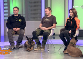 Digi Animal Club - ediția cu numărul 500! Malinois, între sport, dresaj și legătura cu omul: ”Este un parteneriat foarte frumos”
