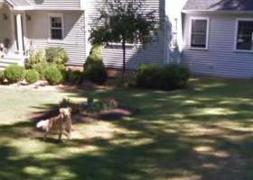A vrut să-și revadă casa copilăriei pe Google Maps, dar a avut parte de o surpriză emoționantă: „A fost ca și cum era din nou aici”