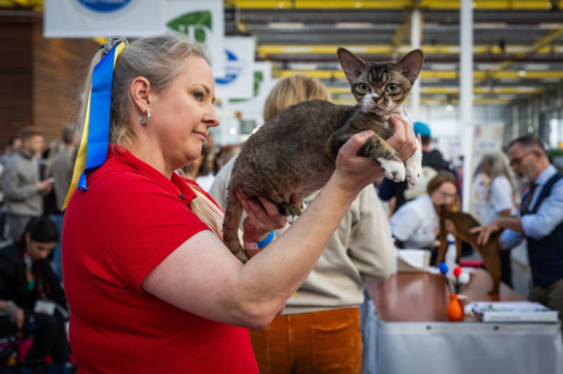 FIFe World Show 2026/ Profimedia