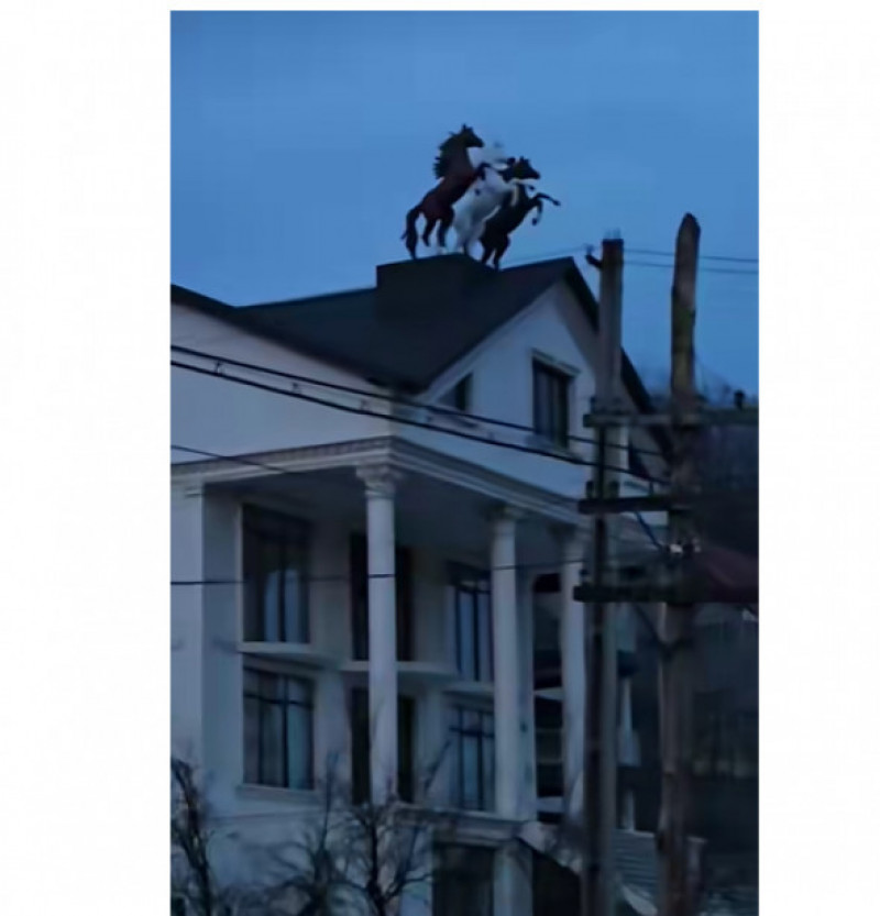 casa cu statui cu cai (2)