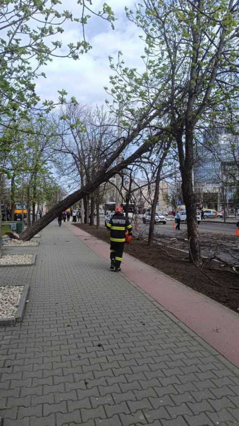 Pagube în 13 judeţe şi în Bucureşti din cauza vântului puternic/ Foto: News.ro
