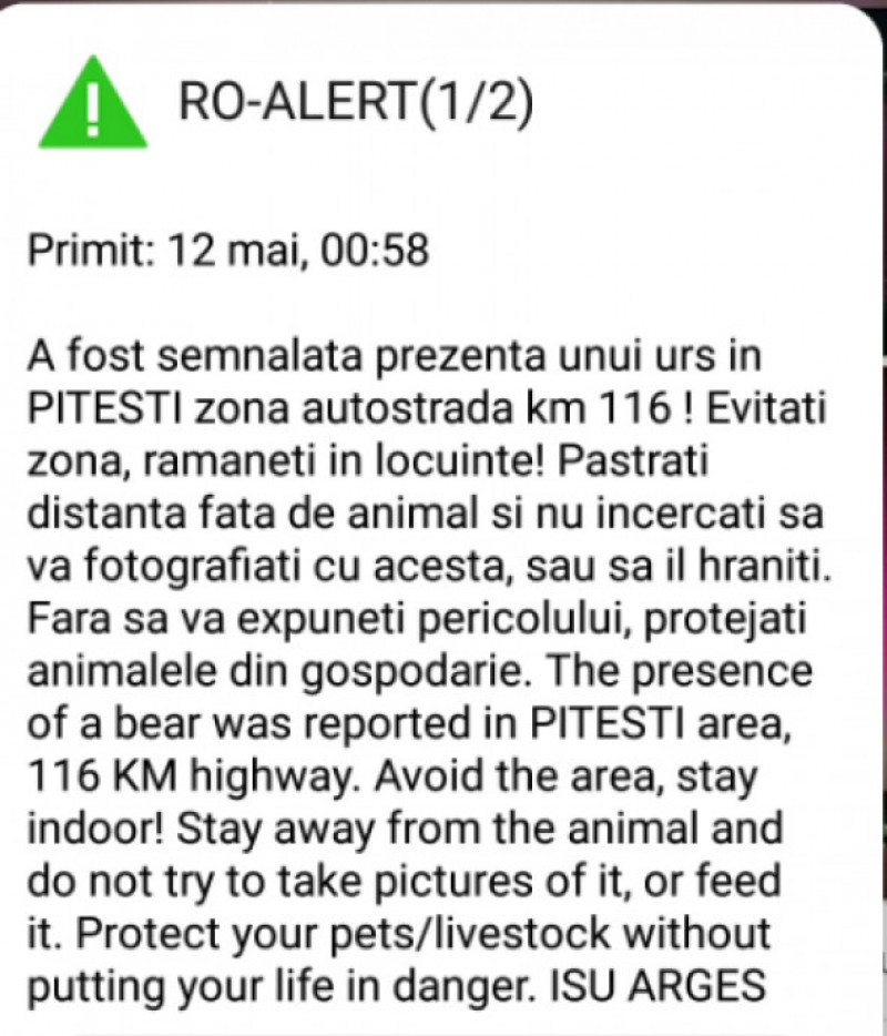 Avertizare RO-Alert în Pitești, după ce oamenii au semnalat prezența unui urs/ Foto: News.ro