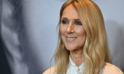 Celine Dion, de nerecunoscut într-o apariție de Ajunul Crăciunului. A parodiat un monolog din „Grinch” şi a cântat „All by Myself” în costum verde, iar imaginile au devenit virale