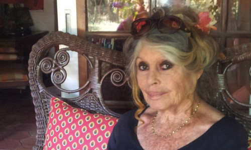 Îngrijorări mari pentru Brigitte Bardot! Diva de 91 de ani e de trei săptămâni în spital și a trecut printr-o operație
