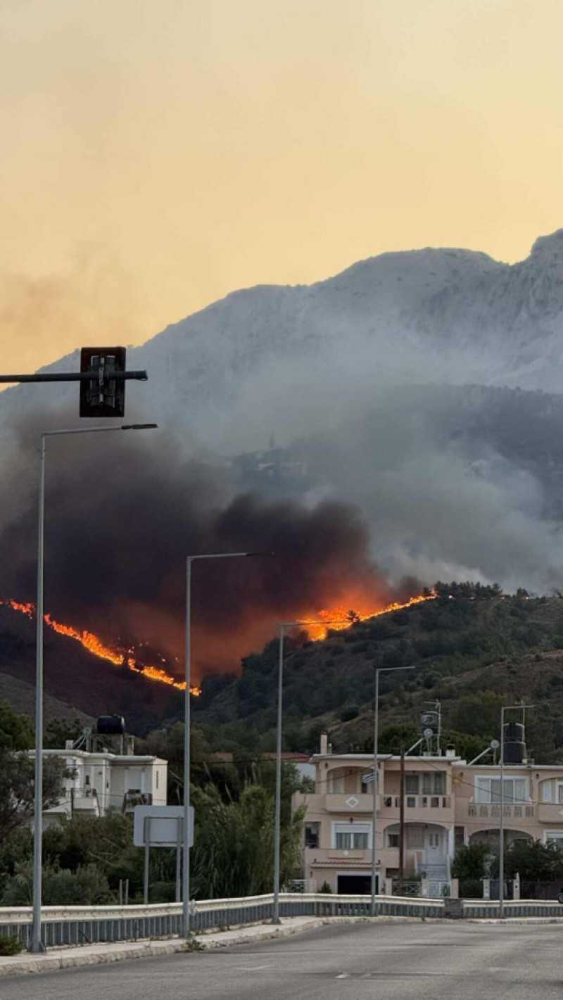 Incendii de vegetație în Chios/ Profimedia